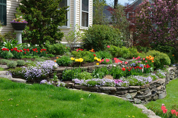 Landscaping 101 – The Importance of Form, Color, Line, and Scale in Landscaping